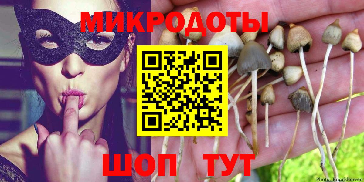 купить наркоту  Вход с VPN  Псилоцибиновые грибы MAGIC MUSHROOMS  Кимовск  Псилоцибиновые грибы ЛСД 